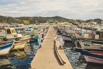 Dock full of boats