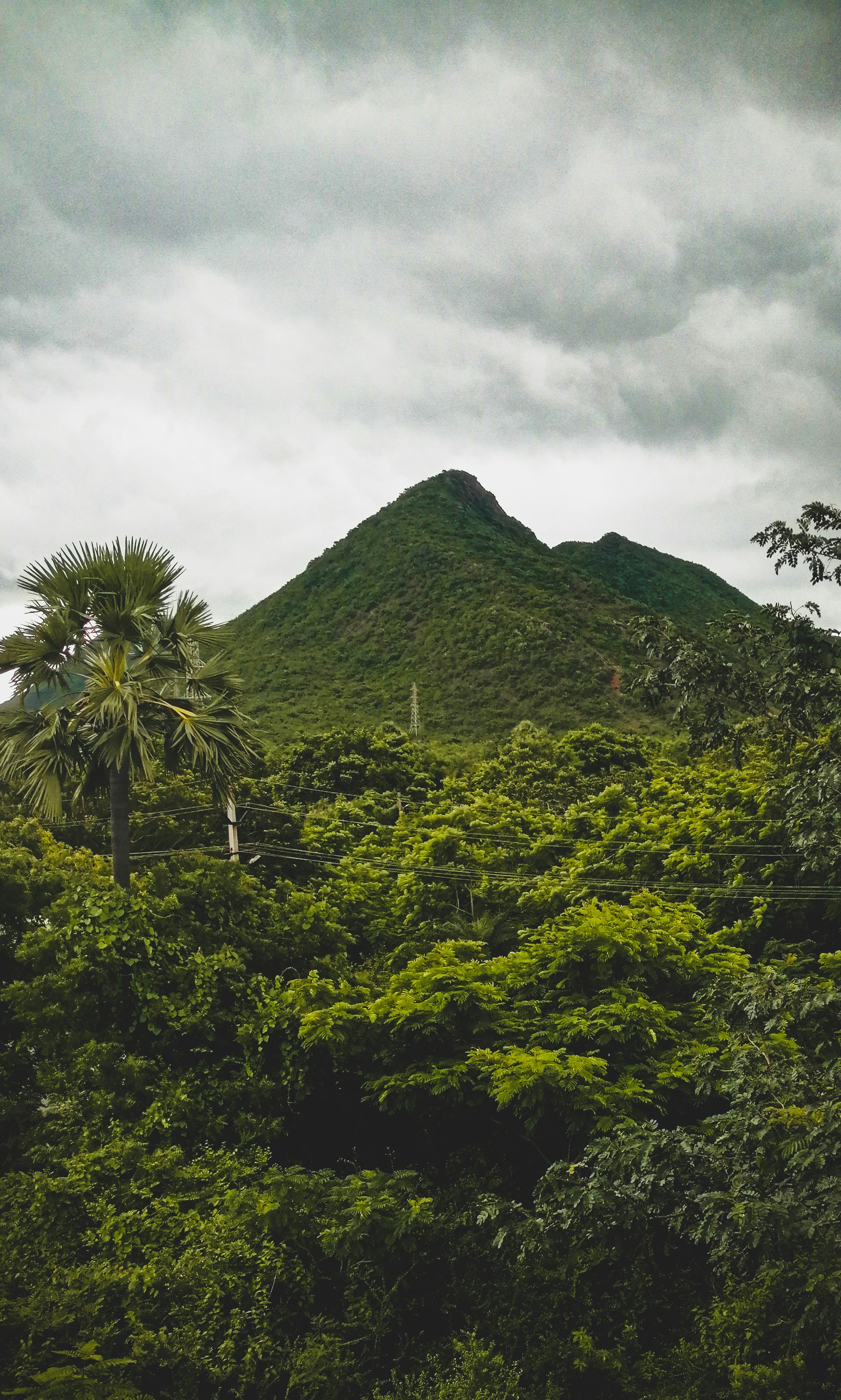 Photo by gokulbalabommala