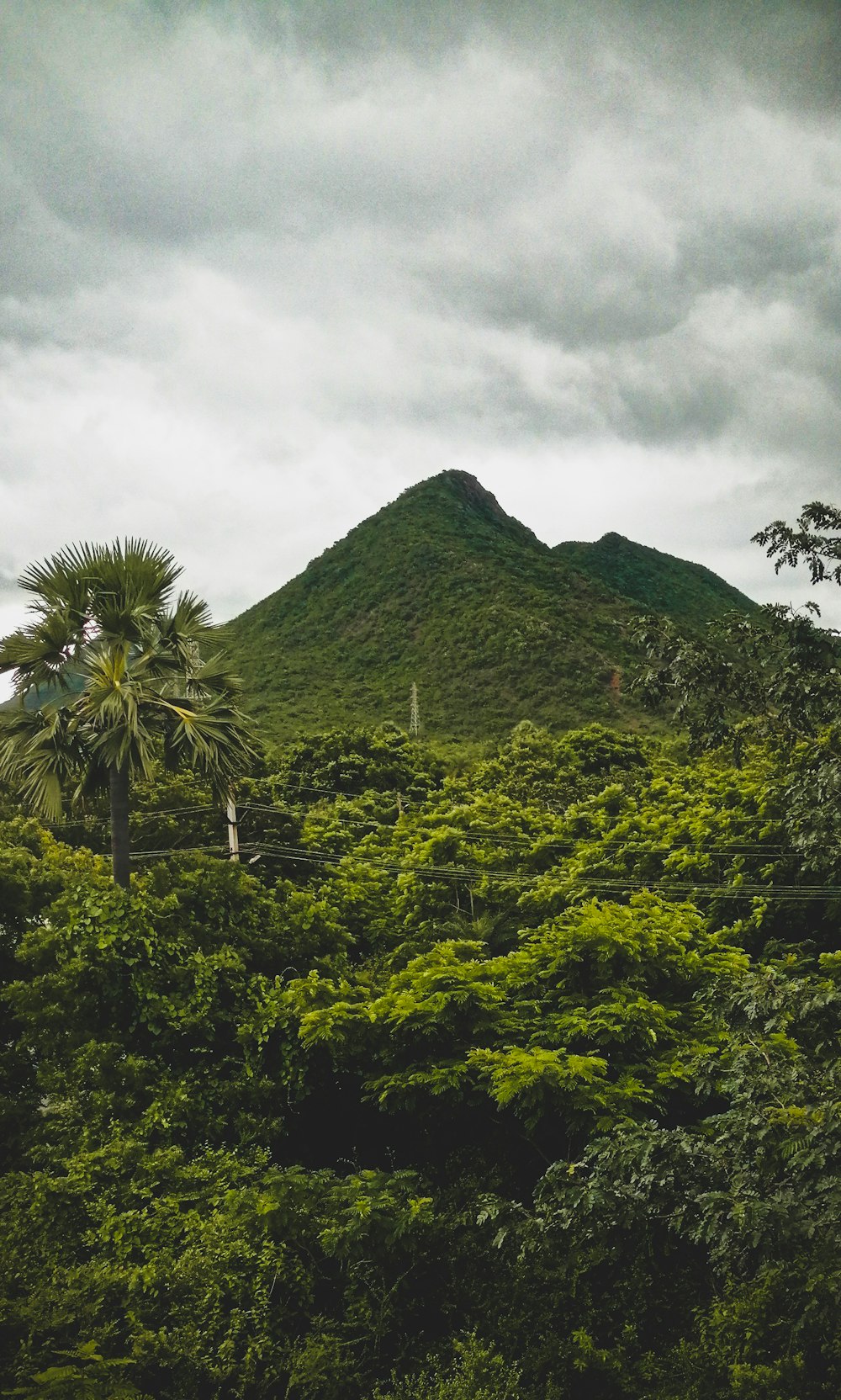 mountains and trees under heavy clouds