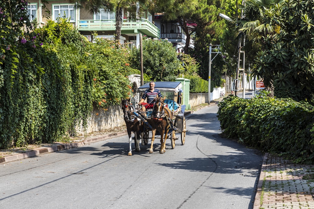 horse carrier