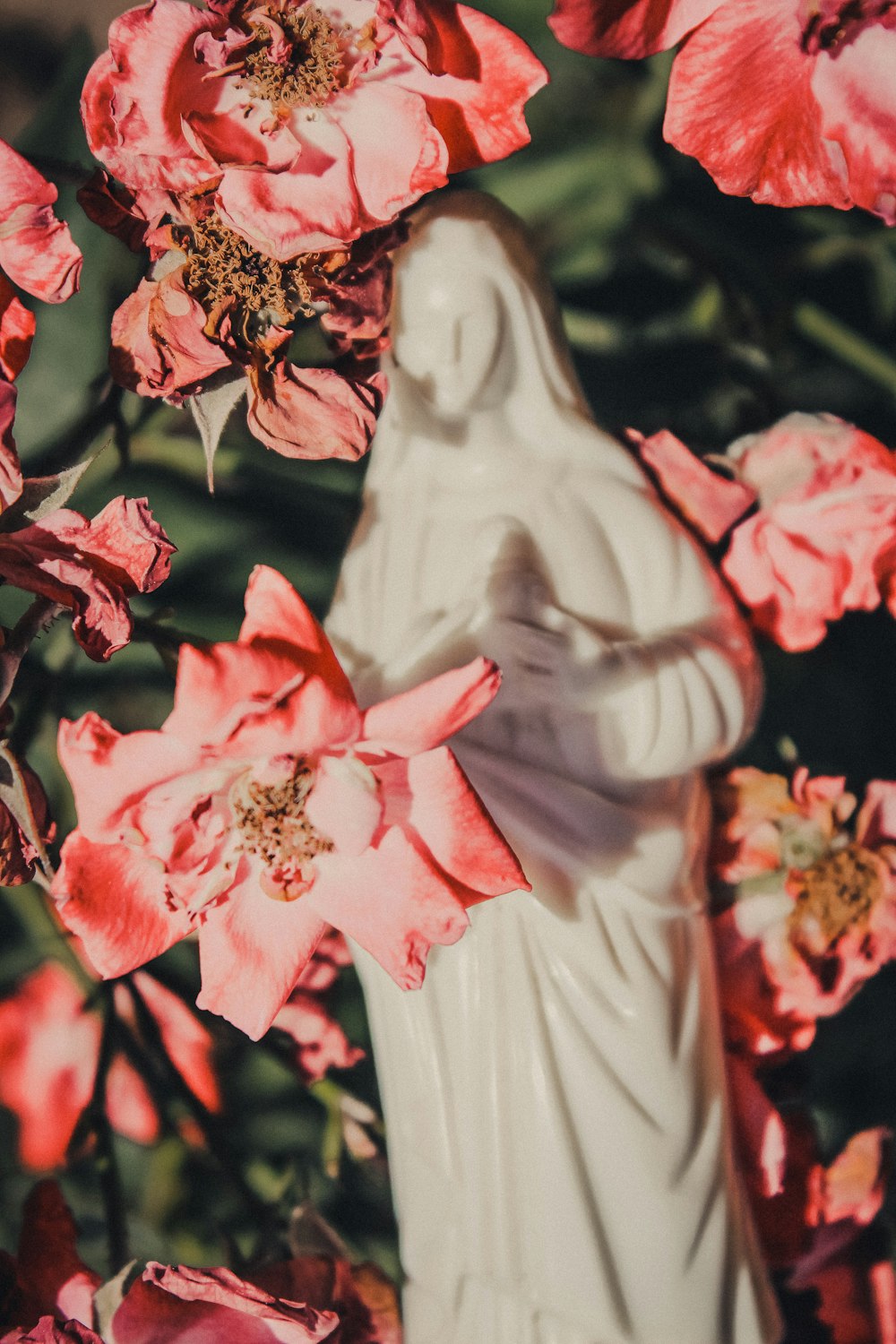 white mother Mary figurine behind pink flowers
