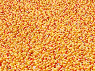 A vast collection of rubber ducks with bright yellow bodies and red-orange beaks, densely packed together to create a visually striking and colorful pattern.