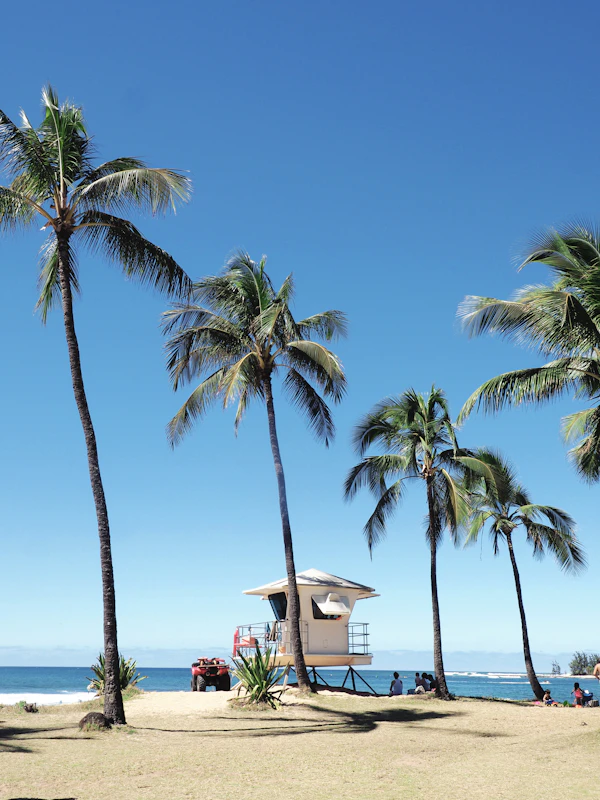 Honolulu, Hawaii, USA photo 2