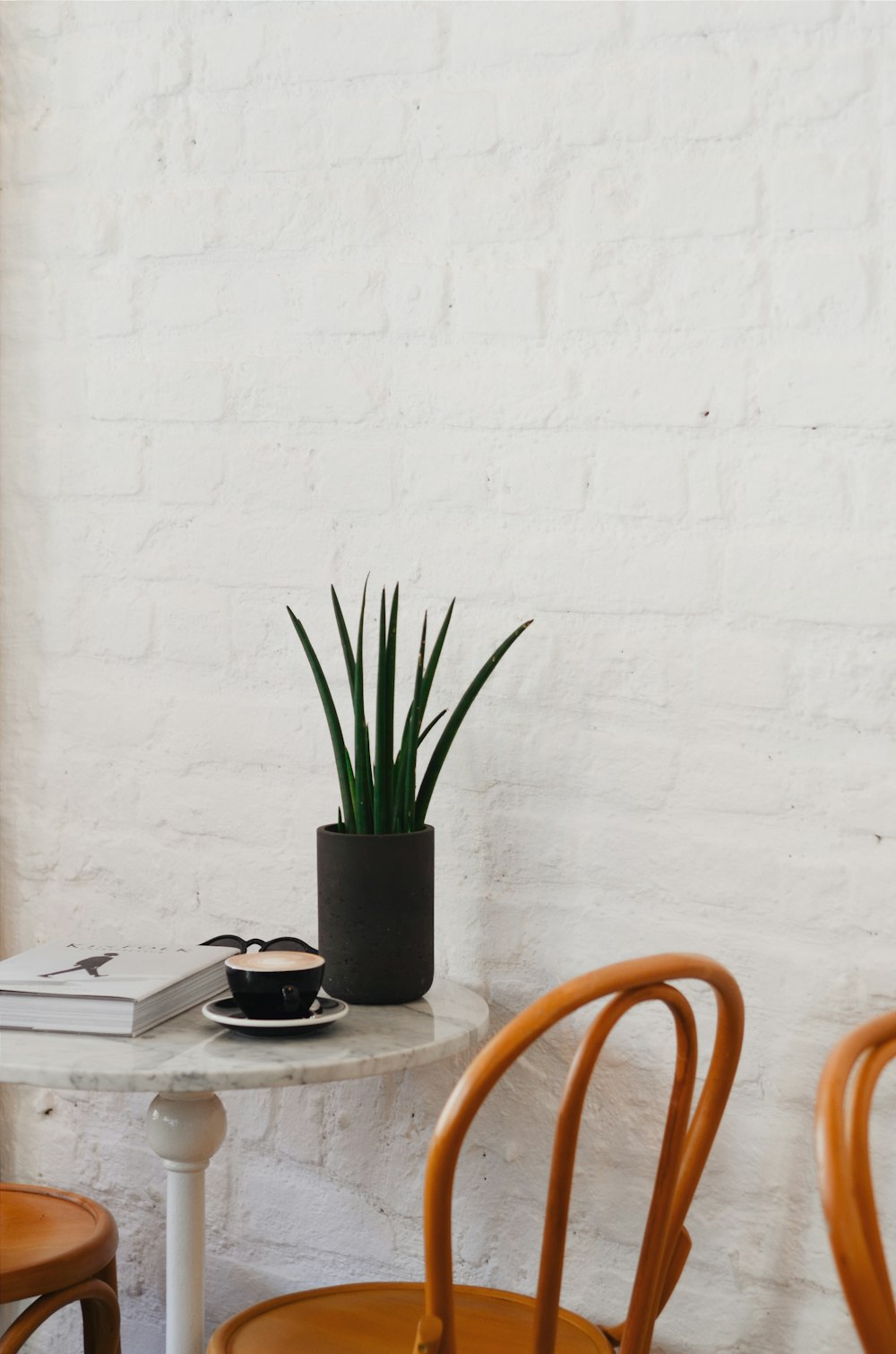 pot of plant and cup on table