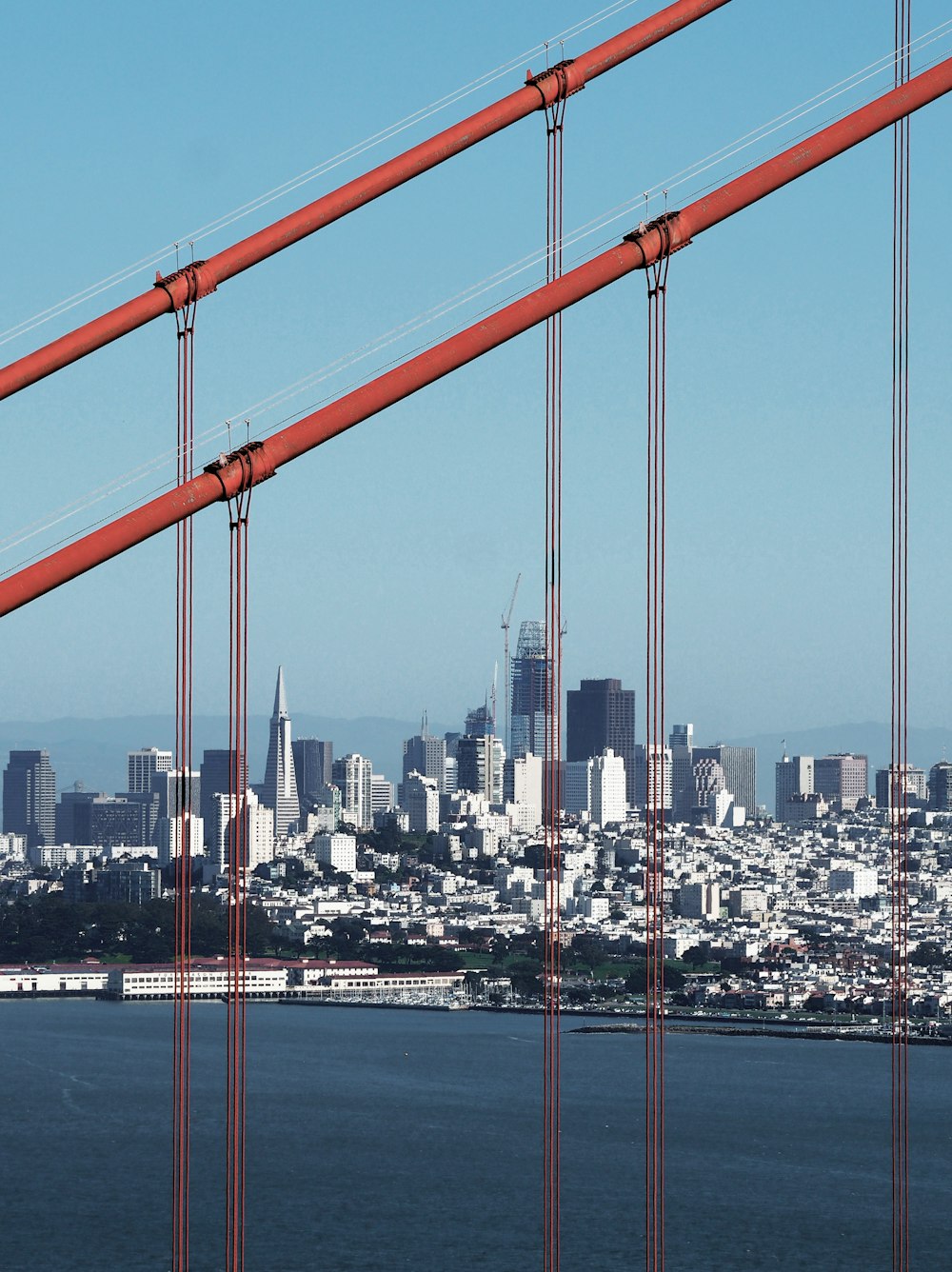 cityscape through bridge's suspensions