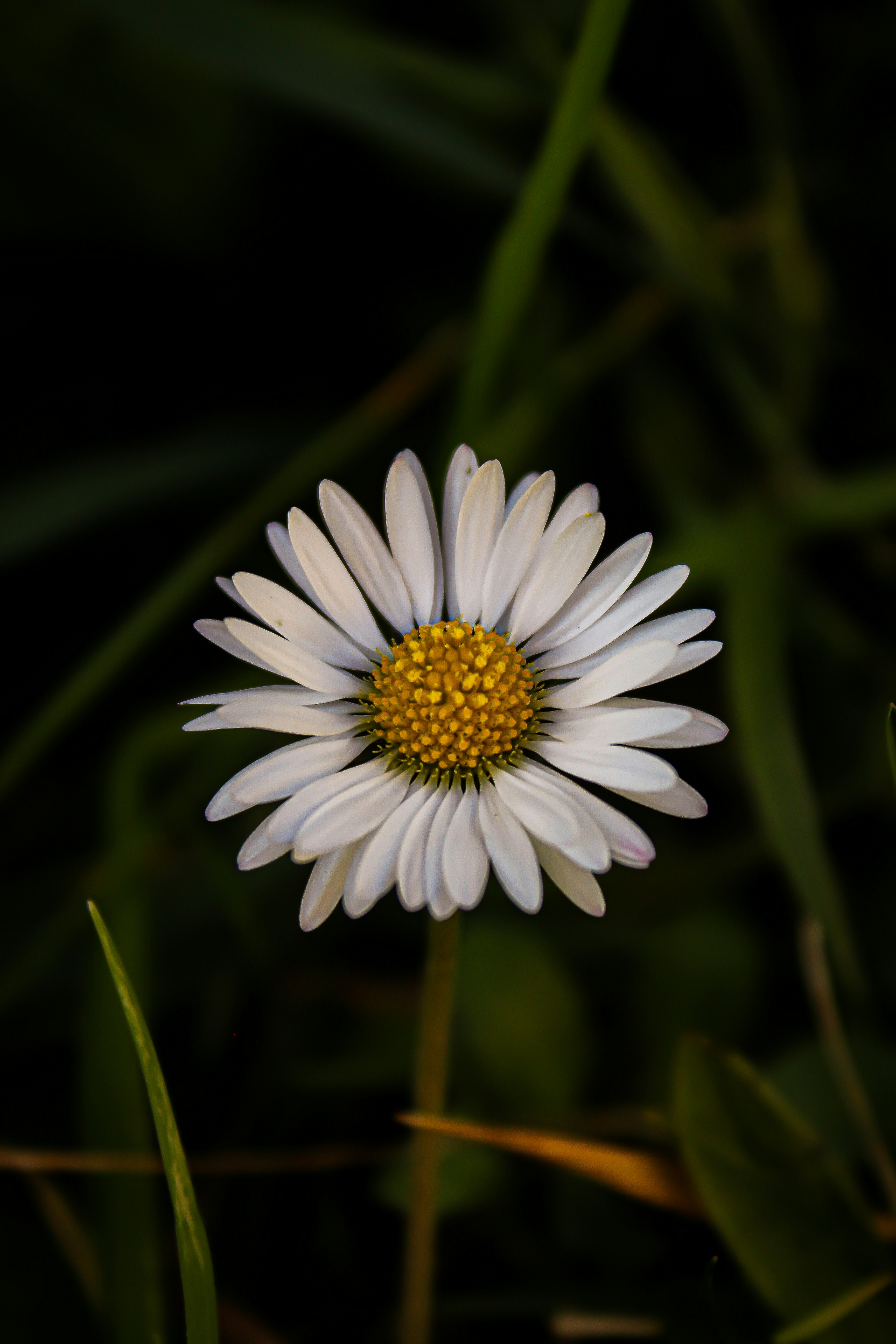 Photo by cassandra_correa