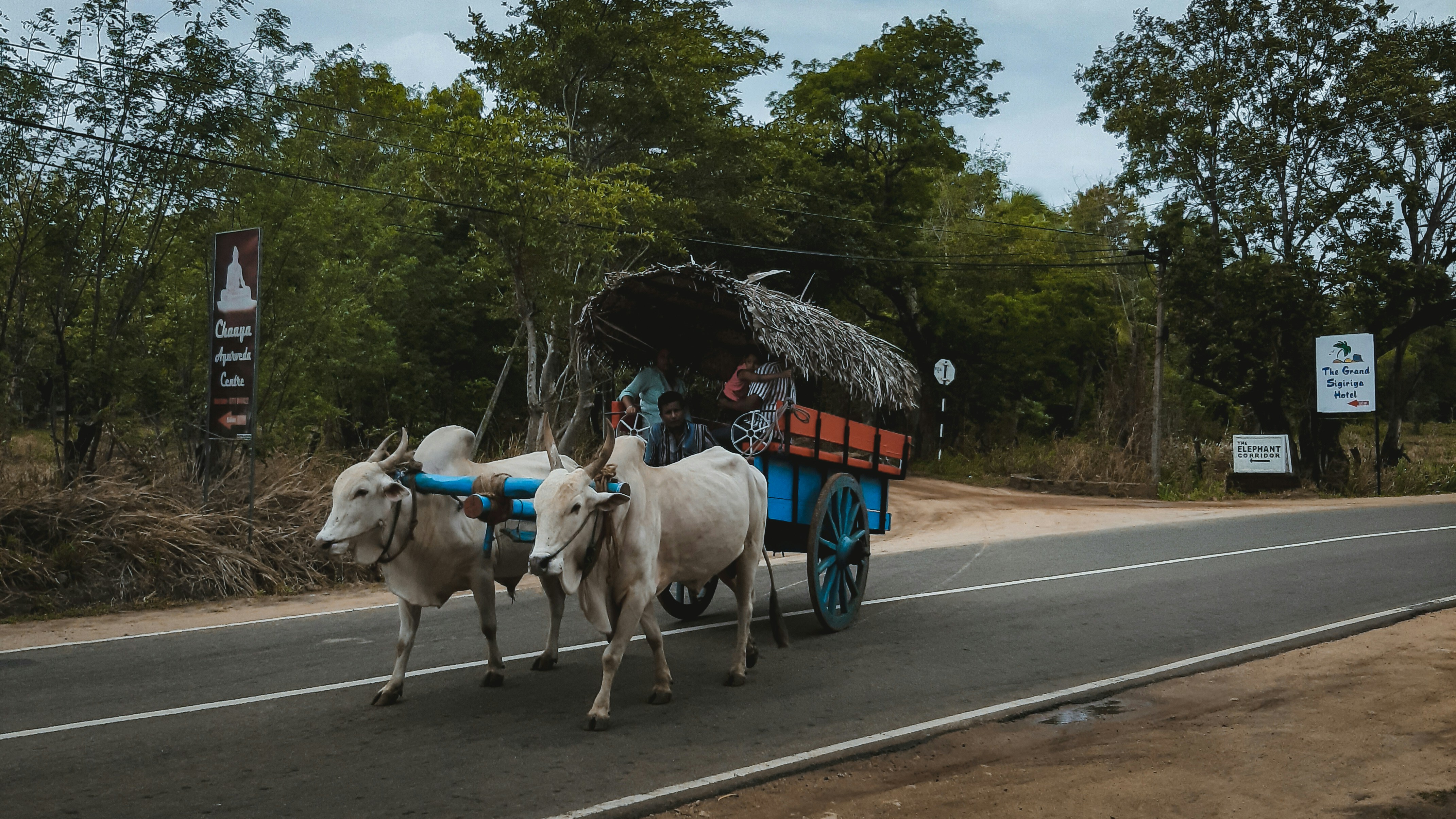 Family loading luggage into an electric SUV before a road trip