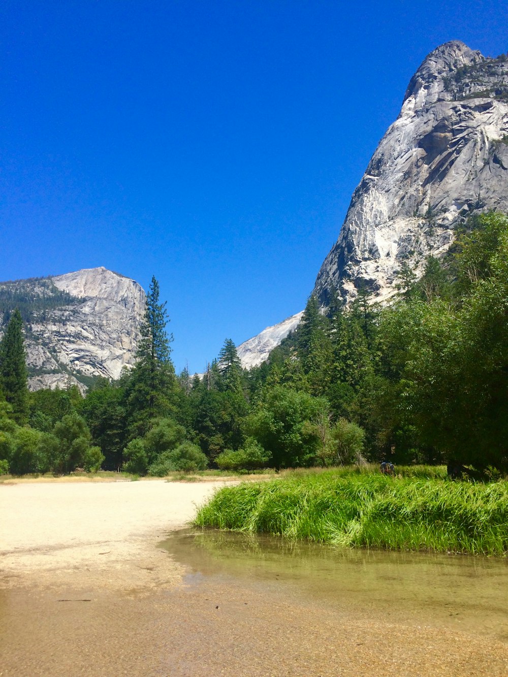 green trees beside rock formation