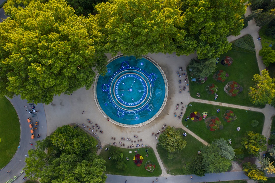 aerial photography of round swimming pool