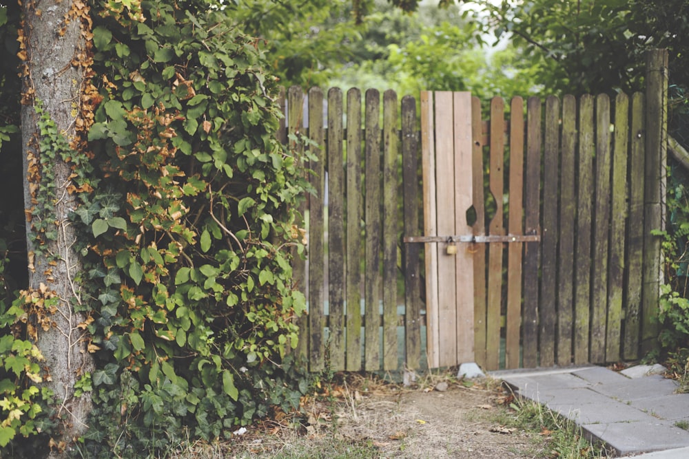 a wooden gate surrounded by a wooden fence