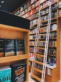 A library scene with wooden shelves filled with a variety of books. A rolling ladder is positioned to access the higher shelves. The books are colorful and the environment has a cozy and inviting feel.