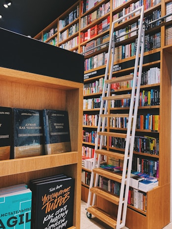 A library scene with wooden shelves filled with a variety of books. A rolling ladder is positioned to access the higher shelves. The books are colorful and the environment has a cozy and inviting feel.