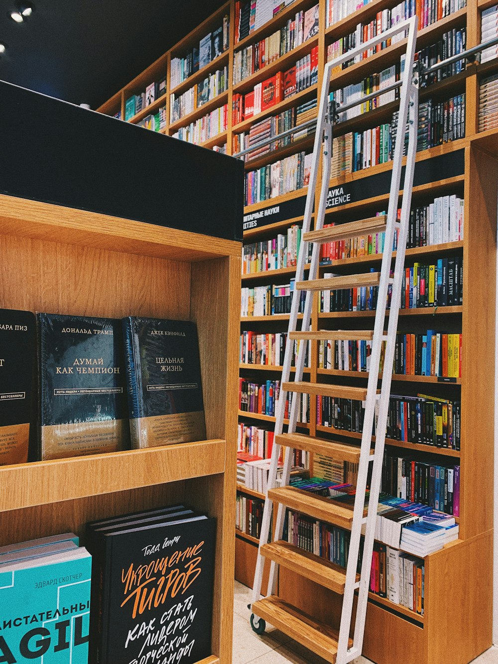 assorted-title book pile in book case