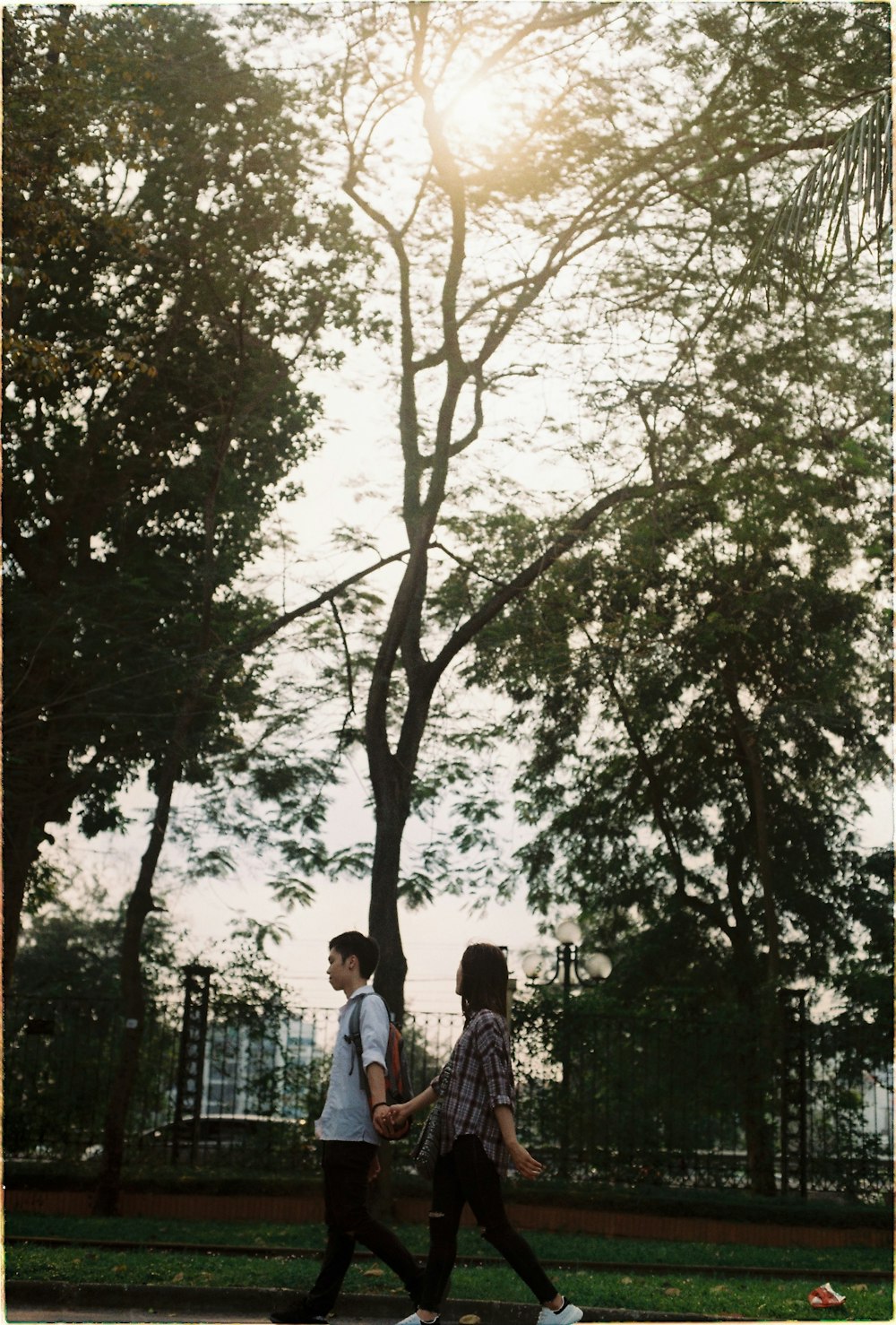 woman and woman walking on street