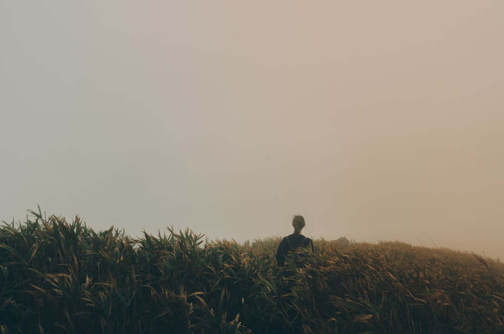 a person standing in a field of tall grass