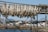 Wooden racks display numerous fish being air-dried, set against a backdrop of a small coastal town with a mountainous landscape in the distance. The scene includes a variety of houses and buildings near a rocky waterfront.