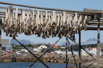 Wooden racks display numerous fish being air-dried, set against a backdrop of a small coastal town with a mountainous landscape in the distance. The scene includes a variety of houses and buildings near a rocky waterfront.