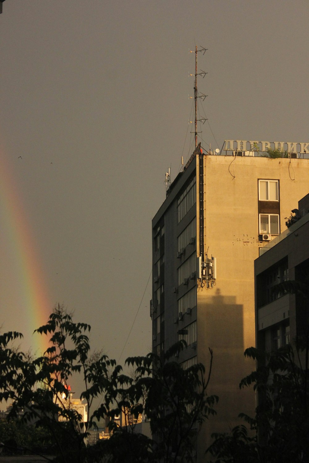 brown high-rise building