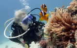 A scuba diver is underwater, surrounded by colorful marine life. The diver is wearing a diving suit and goggles, and is next to a coral reef that includes anemones and orange clownfish. The water is clear, allowing visibility of various fish and coral.
