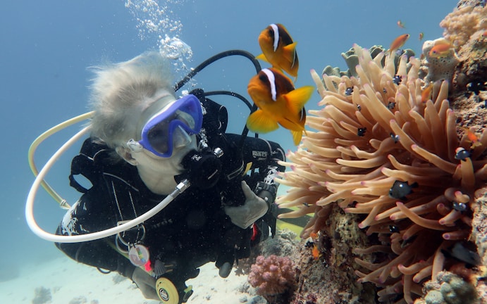 A scuba diver is underwater, surrounded by colorful marine life. The diver is wearing a diving suit and goggles, and is next to a coral reef that includes anemones and orange clownfish. The water is clear, allowing visibility of various fish and coral.