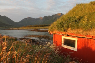 A cozy seaside cottage in Scotland bathed in warm sunset light, perfect for a weekend escape.