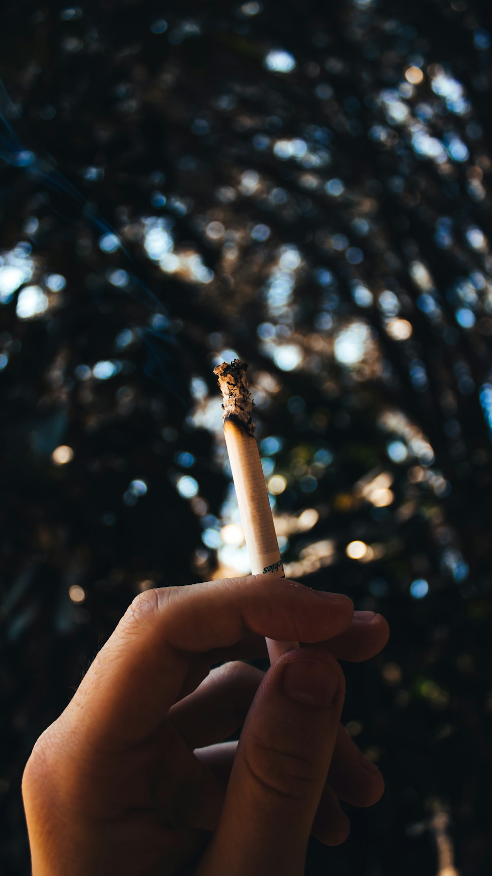 shallow focus photo of white cigarette stick