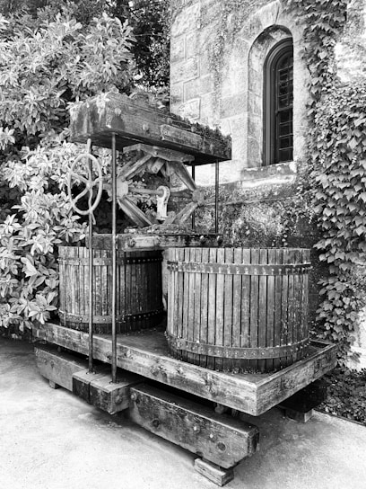 Close-up of traditional wooden cold-press machine extracting fresh oil from seeds.