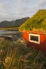 A cozy red cabin with a grass-covered roof is nestled amidst lush greenery, with tall grass and wildflowers in the foreground. The scene is set against a backdrop of calm water and majestic mountains under a partly cloudy sky, capturing the serene beauty of nature.
