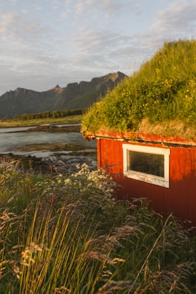 A cozy red cabin with a grass-covered roof is nestled amidst lush greenery, with tall grass and wildflowers in the foreground. The scene is set against a backdrop of calm water and majestic mountains under a partly cloudy sky, capturing the serene beauty of nature.