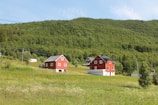 Two red houses with white trimming are situated on a green grassy hill surrounded by trees. In the background, there is a dense forest covering the rolling hills. The scene is well-lit by daylight, and power lines run horizontally across the image.