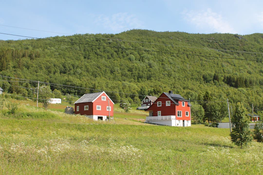 Two red houses with white trimming are situated on a green grassy hill surrounded by trees. In the background, there is a dense forest covering the rolling hills. The scene is well-lit by daylight, and power lines run horizontally across the image.