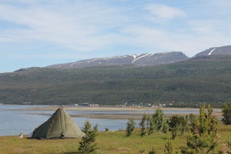A green tent is pitched on a grassy field near a large body of water, with lush green trees scattered along the shore. In the background, expansive mountains with patches of snow contrast against a blue sky with light clouds. Distant houses or buildings can be observed along the water's edge.