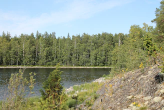 A scenic view of a peaceful nature spot visited during a Yolva day tour.