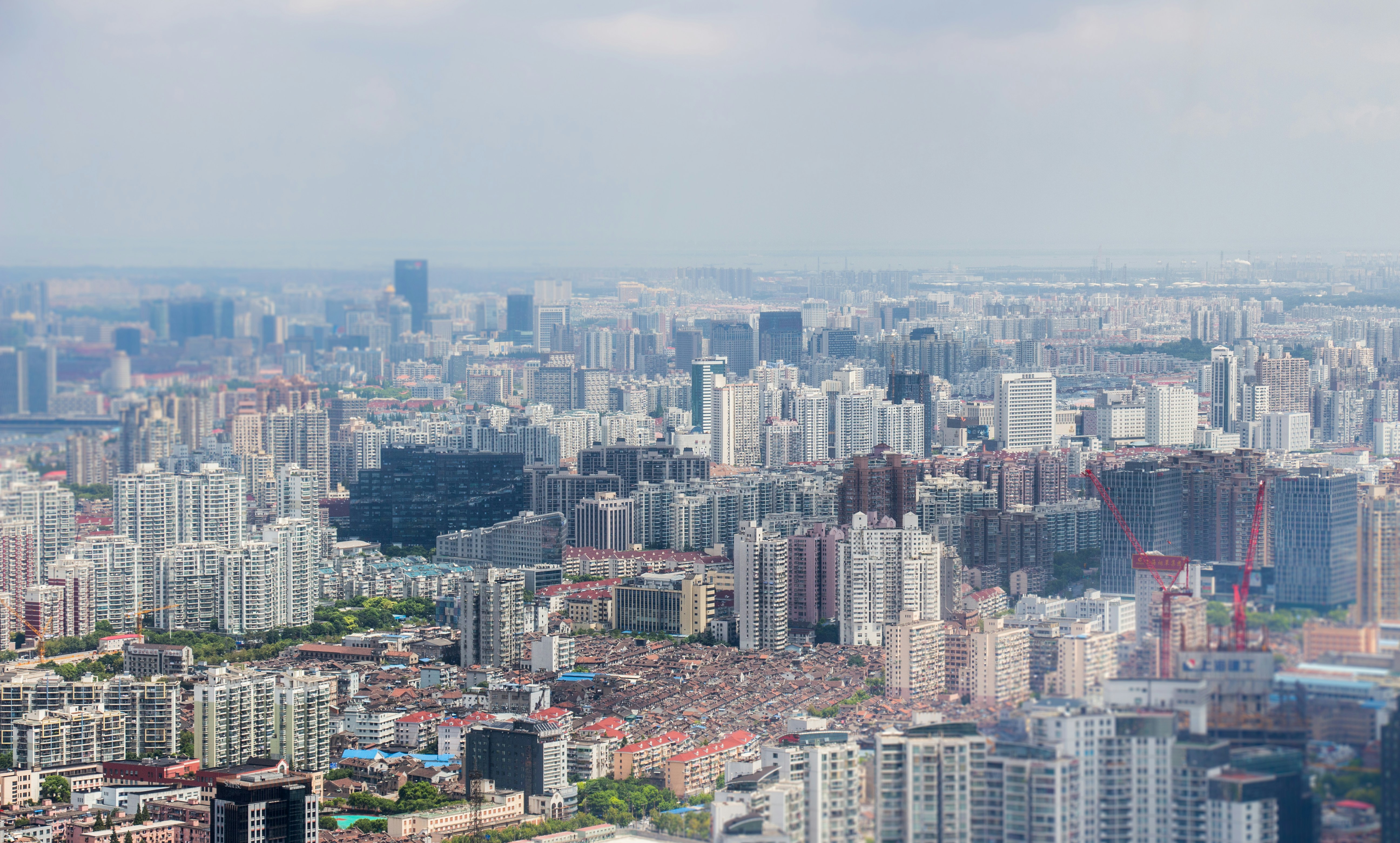 Photo by soroushzargar