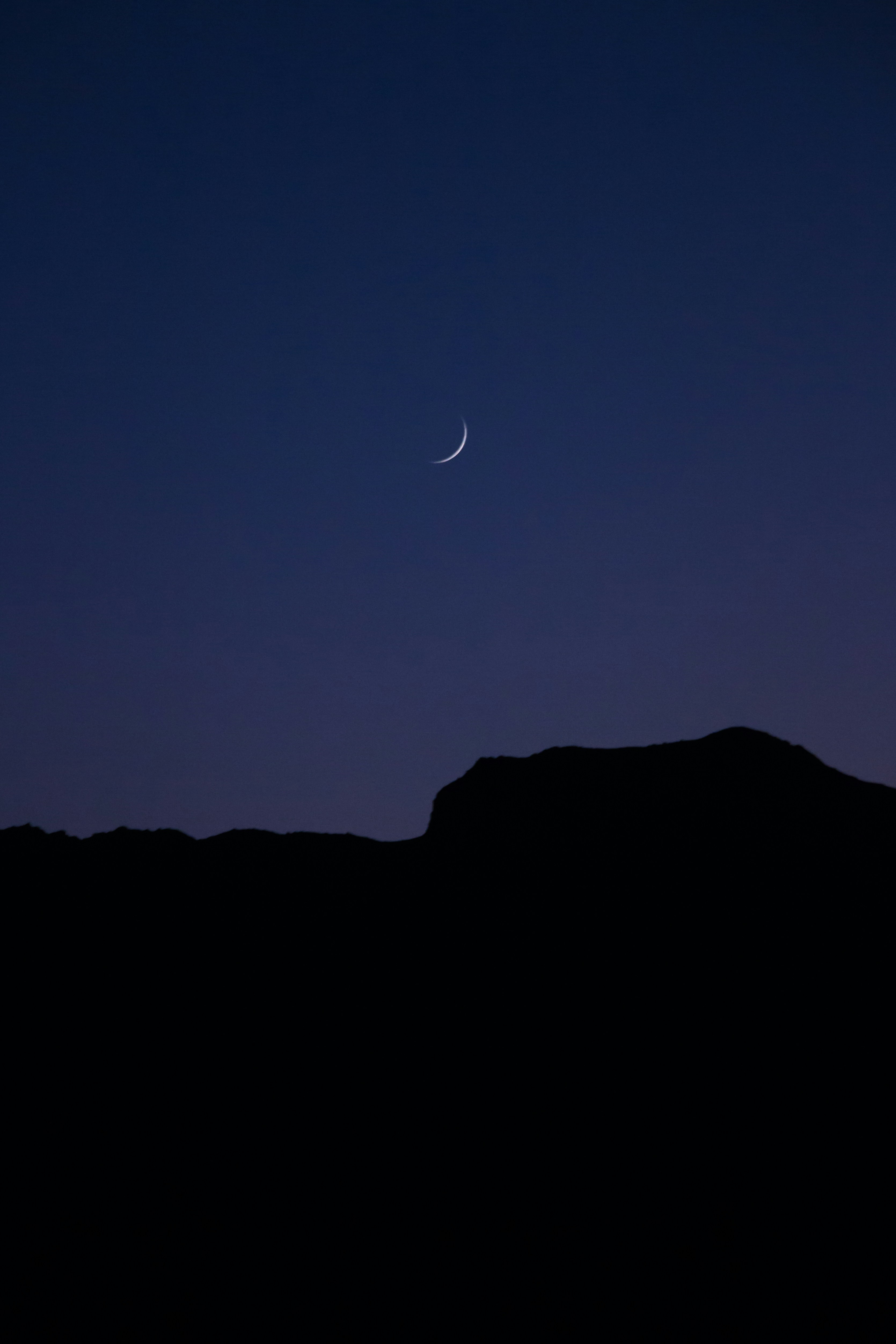 Photo by soroushzargar