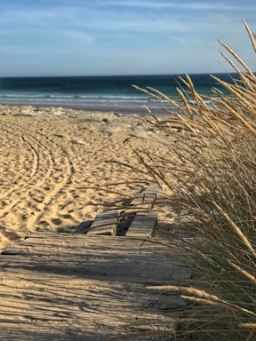 brown sand beside body of water at daytime