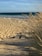 brown sand beside body of water at daytime