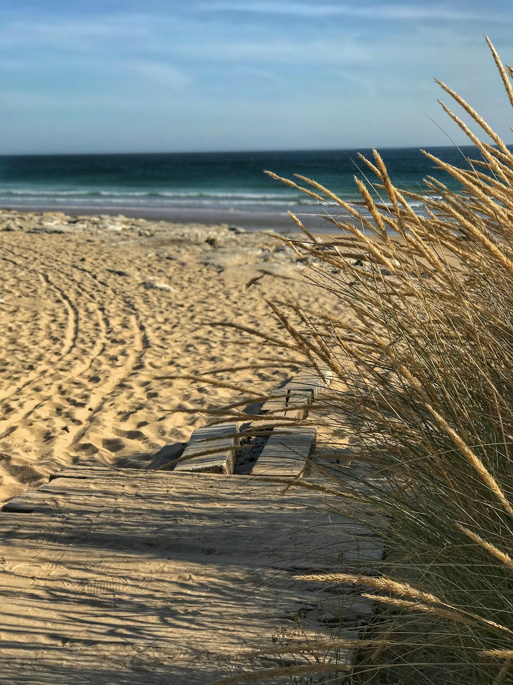 brown sand beside body of water at daytime