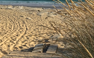 brown sand beside body of water at daytime