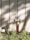 A fire hydrant stands against a textured wall with vertical lines. The hydrant is metallic with yellow and red components and has chains attached to its sides. Surrounding the base are patches of green grass and weeds. Shadows from nearby trees fall across the wall and ground, adding a dappled light effect.