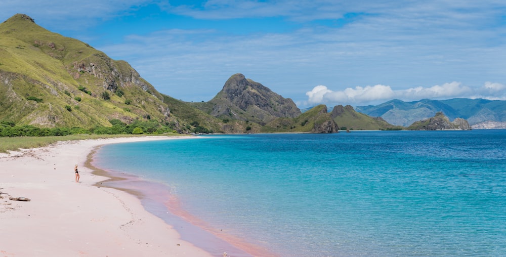 playa junto a verdes colinas