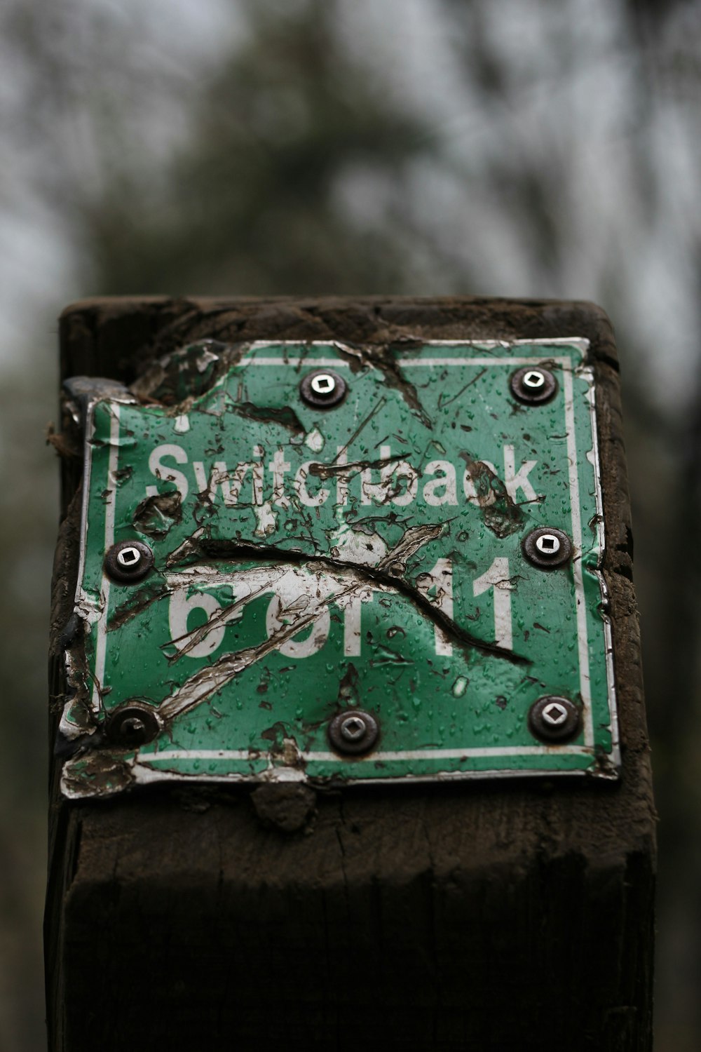 a green street sign sitting on top of a wooden post
