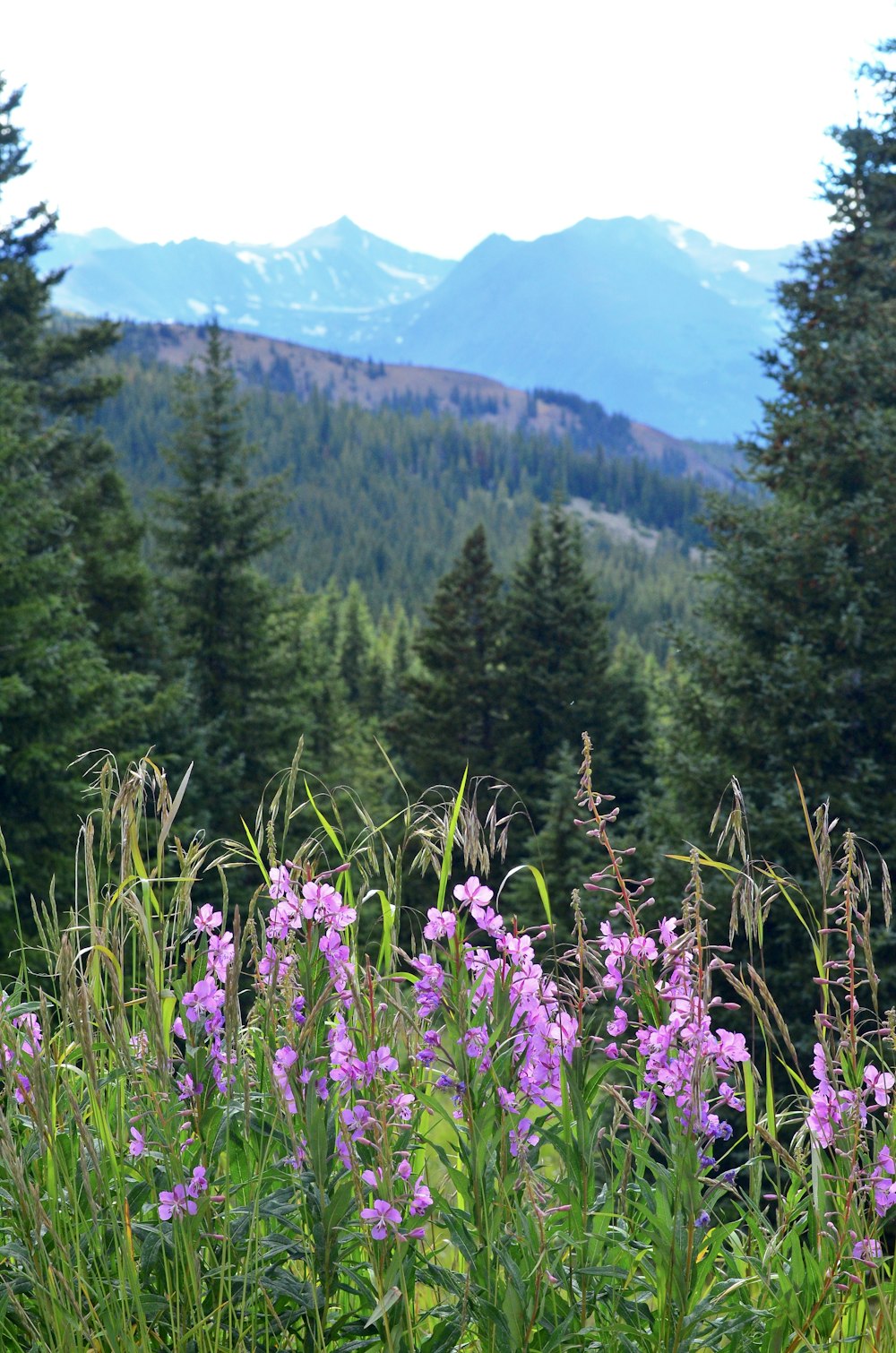 Photographie de montagne