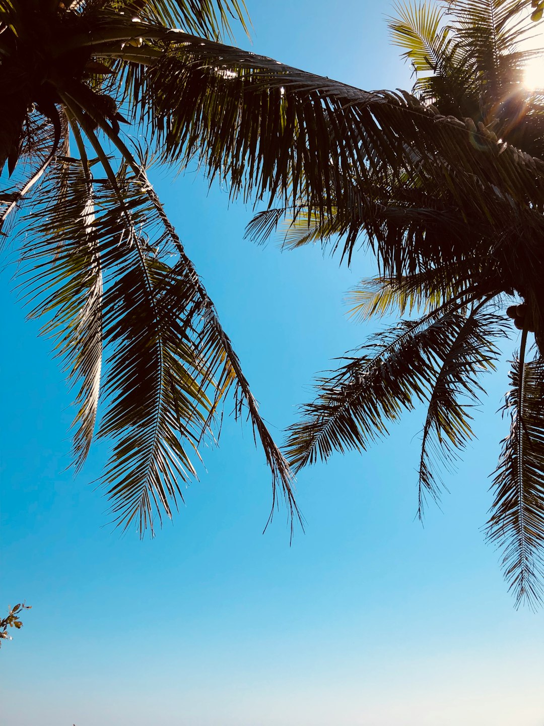 travelers stories about Tropics in Ri Yue Wan Hu Tong, China