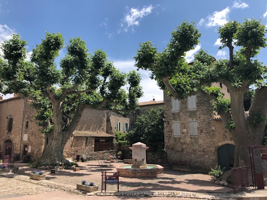 Place de la République things to do in Castres