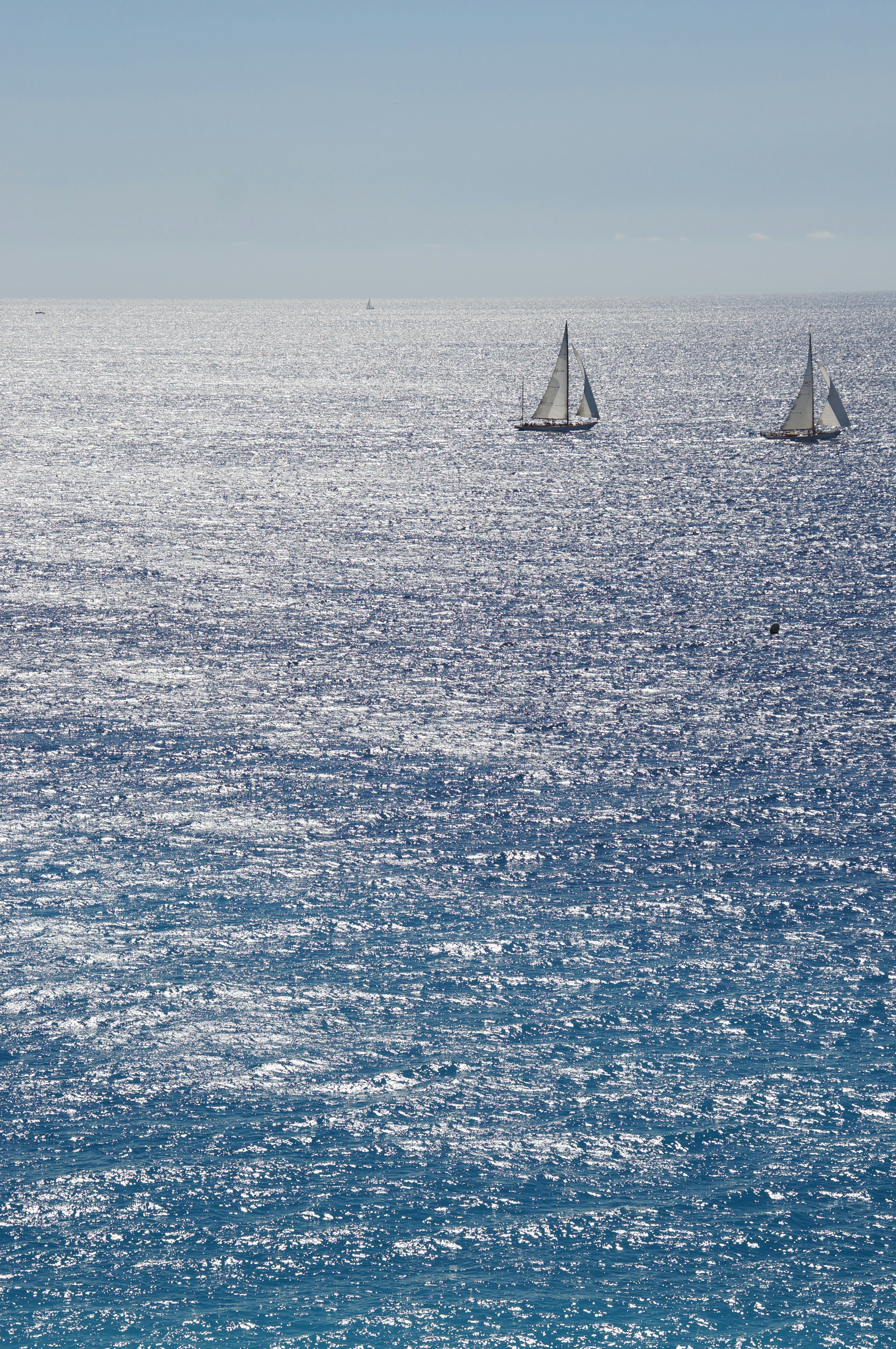 Photo by sebastian2019