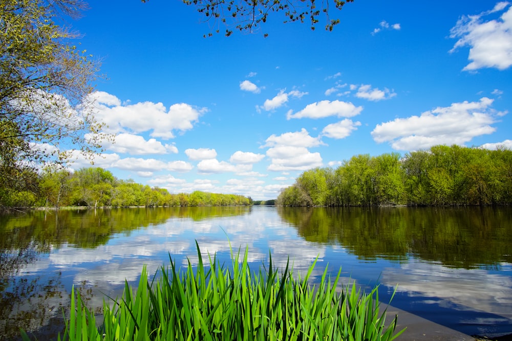 body of lake surrounded with green grass