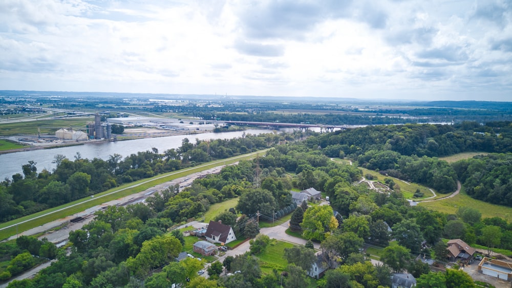 aerial photo of trees