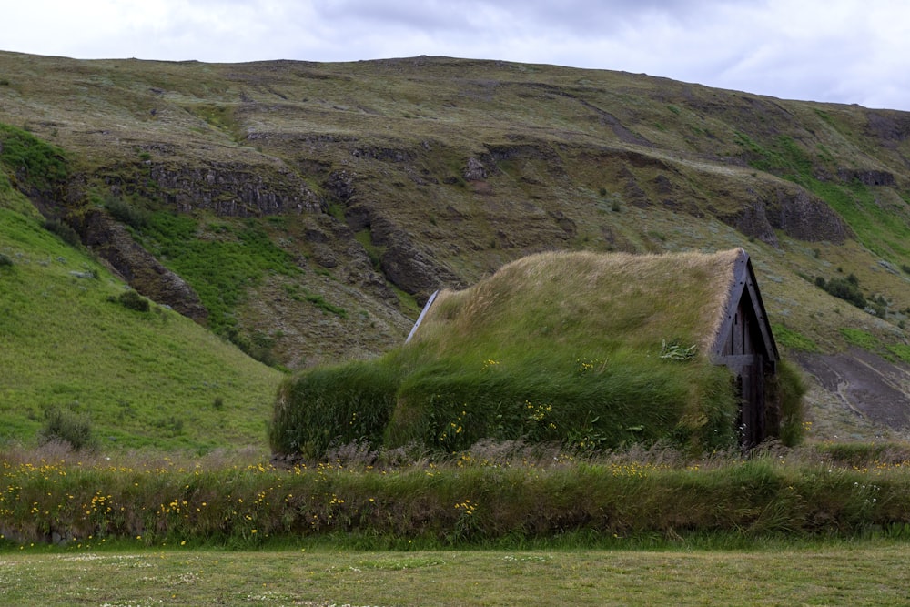 grass-cvered house near hill