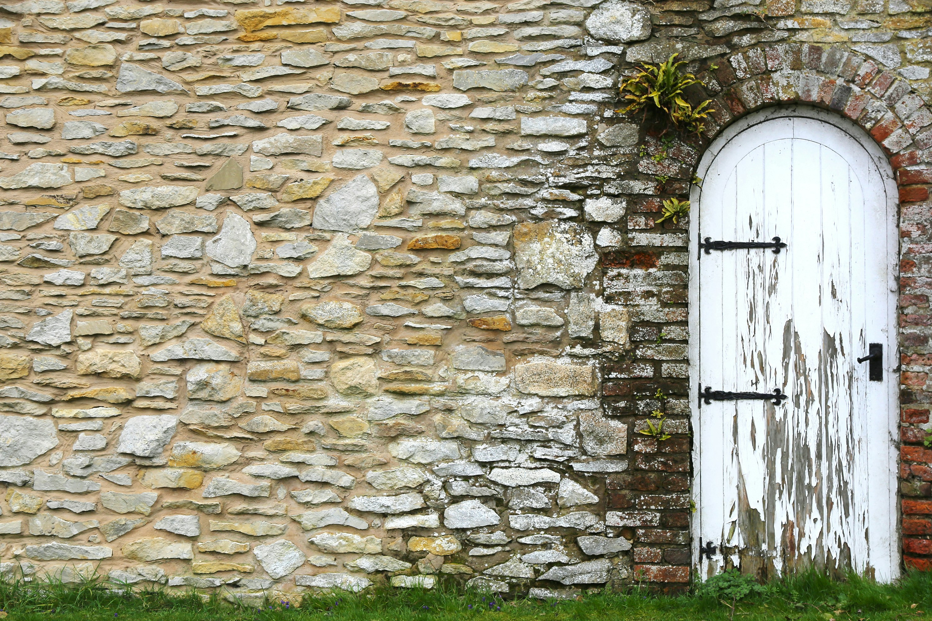 Photo by johanne_pepin